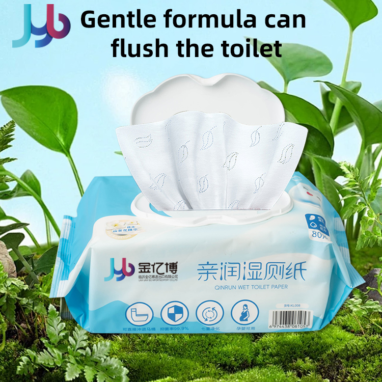 Wet toilet paper (10)